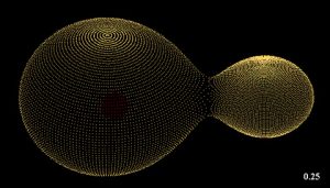 Μια προσομοίωση της σύγκρουσης του δυαδικού συστήματος KIC 9832227 που βρίσκεται σε απόσταση 1800 έτη φωτός από τη Γη. (L. Molnar / Calvin College)